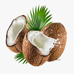 130-1301492_coconut-oil-de-water-coco-nata-milk-clipart